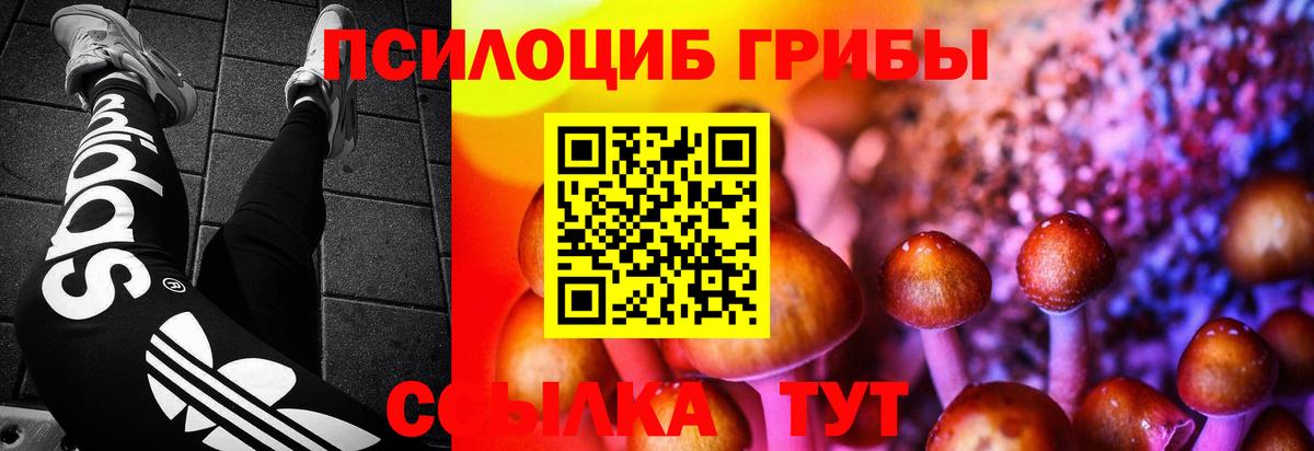 Галлюциногенные грибы MAGIC MUSHROOMS  Вход с VPN  Магнитогорск  Галлюциногенные грибы GOLDEN TEACHER 